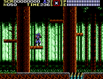 Ninja Gaiden on Master System